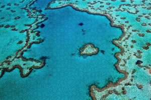 Great Barrier Reef, Australia ~ 1000 Piece Puzzles