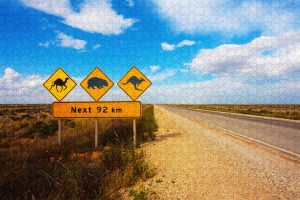 Kangaroo Sign Puzzle ~ 1000 Piece Puzzles