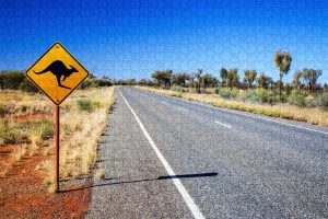 Kangaroo Sign Puzzle ~ 1000 Piece Puzzles