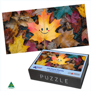 200 piece jigsaw puzzle and box