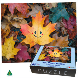 300 piece jigsaw puzzle and box